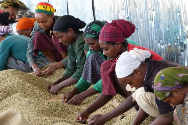 Ethiopia Sidamo Ardi Naturals