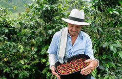 Colombia Jambaló Cauca 1kg