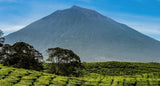 Bali Gunung Batur 1kg
